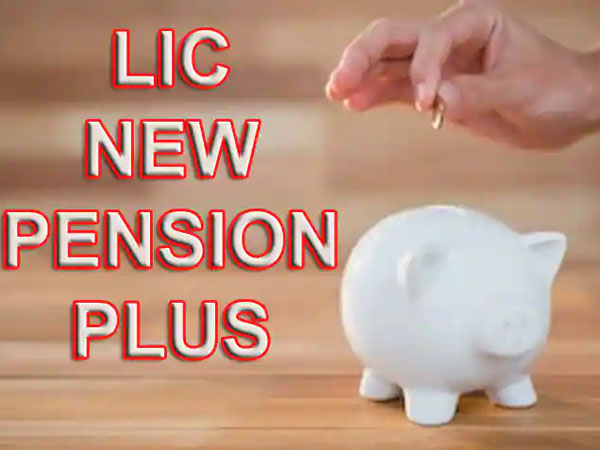 రెగ్యులర్ ఆదాయం..