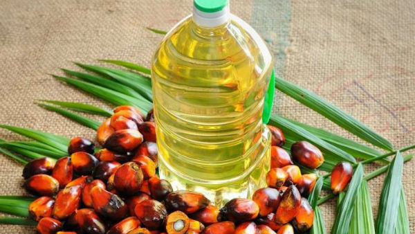 పడిపోతున్న పామాయిల్ ధరలు..