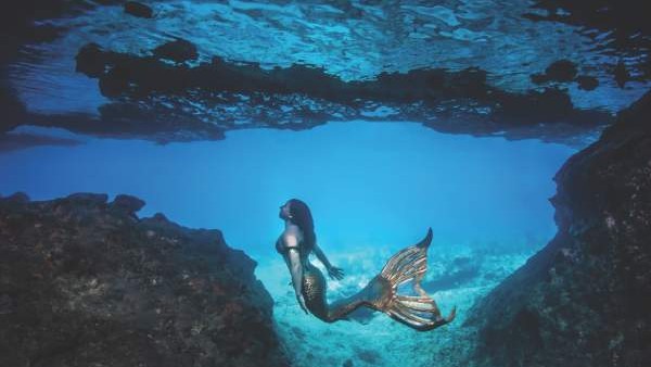 వాల్ట్ డిస్నీ పిక్చర్స్..