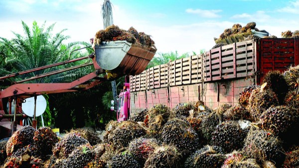 డిసెంబర్ తర్వాత..