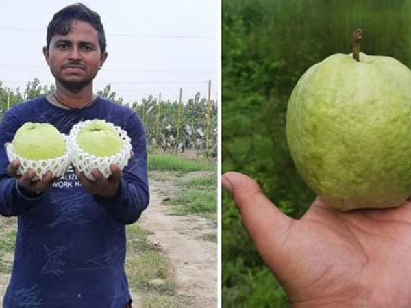 మెుదట్లో ఆసక్తి లేనప్పటికీ..