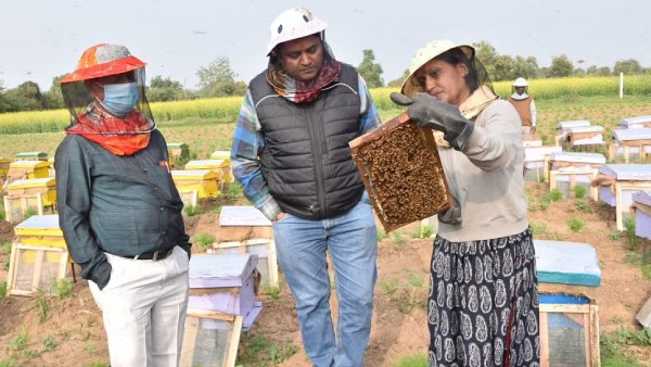 ఎరువులకు ప్రత్యామ్నాయంగా..