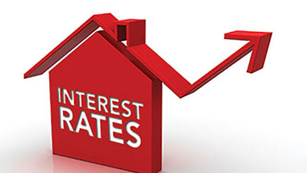 సిలికాన్ వ్యాలీ..