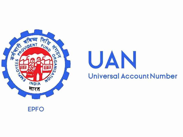 UAN నంబర్ ఆధారంగా..