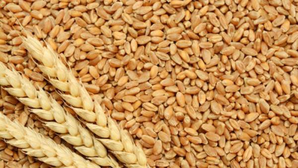 జీఎస్టీ ఎఫెక్ట్..