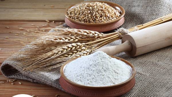 గోధుమ పంట..