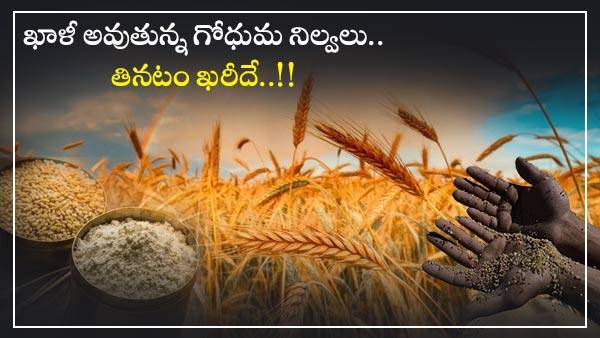 వరి విషయంలో..