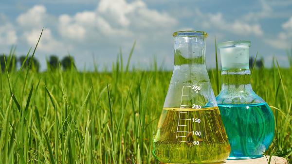 కంపెనీ ప్రకటన..