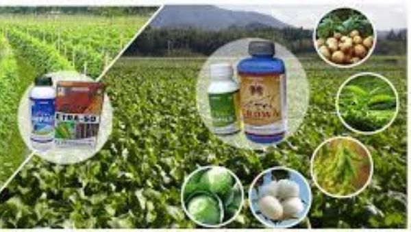 కొత్త కొనుగోళ్లు..