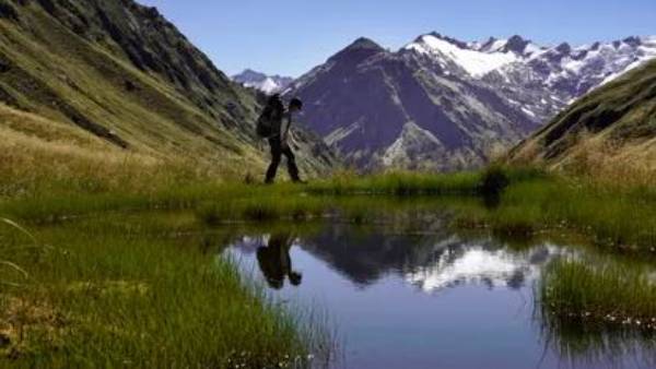 అరుదైన పక్షులు..