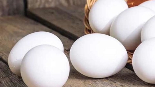 రోజుకో గుడ్డు