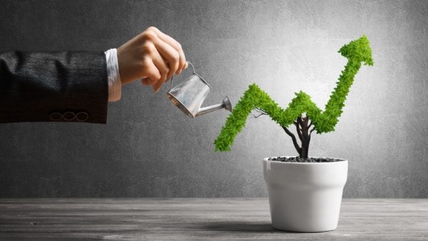  కెన్ బిన్ హోమ్స్..