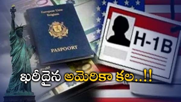  వీసా ప్రాసెసింగ్ ఫీజు..