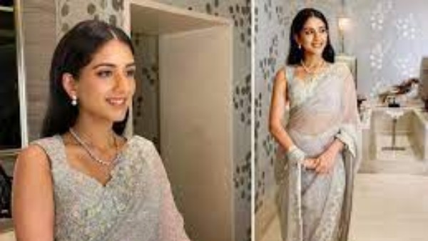 రాధిక మర్చంట్ ఆస్తులు..