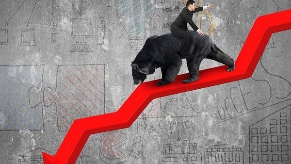 టాప్ లూజర్స్..