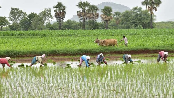 వ్యవసాయానికి చేయూత..