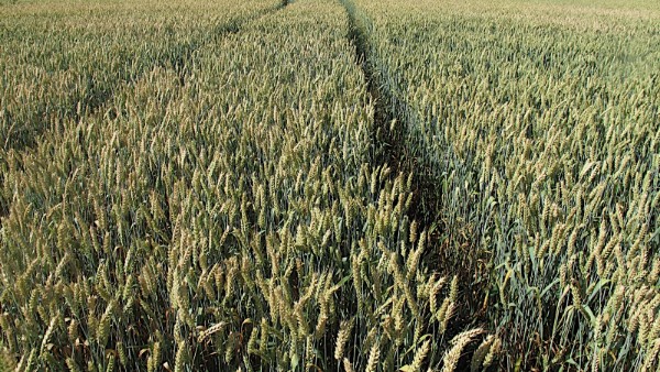  మొదటి రెండు రాష్ట్రాలివే: