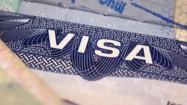 పిటిషన్ లో ఏముంది?