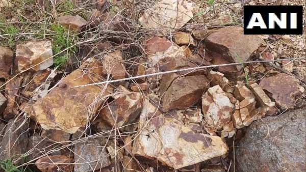 స్వయం సమృద్ధి దిశగా..