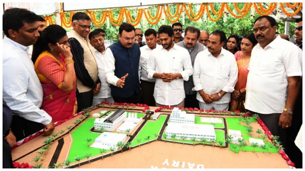 amulinvesting385croresinchittoordairy1