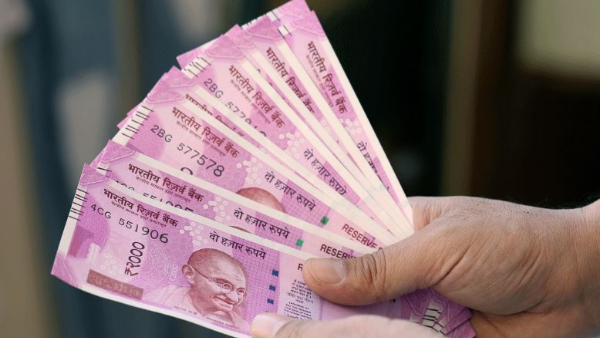 multibagger stock multibagger stock