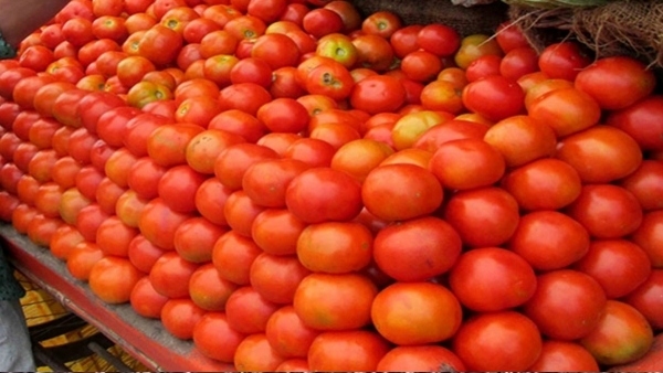 AP government providing tomatoes to people on subsidy rates