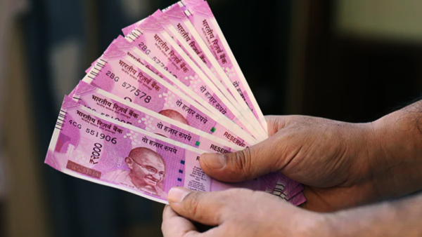 One can start decoration business wit low investment and earn big incomes, Know details