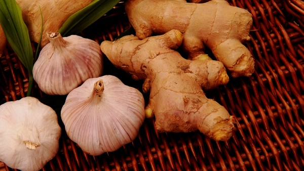 Experts say that making garlic can earn millions