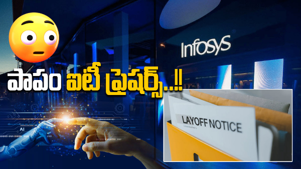 IT major Infosys firing freshers silently and investing on AI amid business uncertinities
