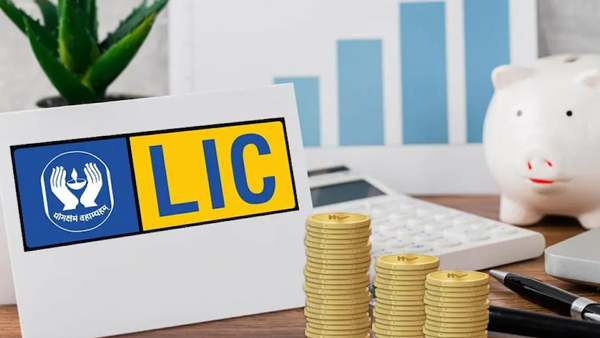 Shares of the company ended in gains on Friday after LIC announced its quarterly results on Thursday