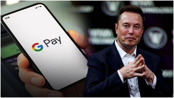 Elon musk planning payment x service like google pay, know details 