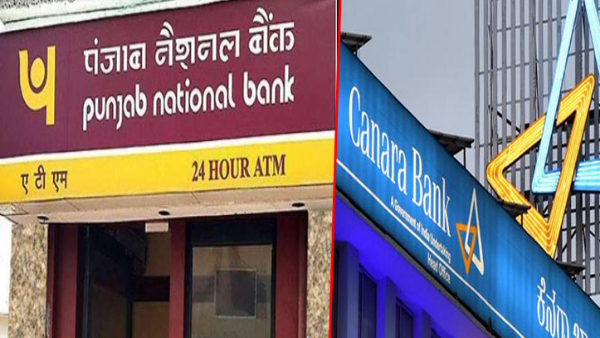  Canara and Punjab National Bank declared quarterly results