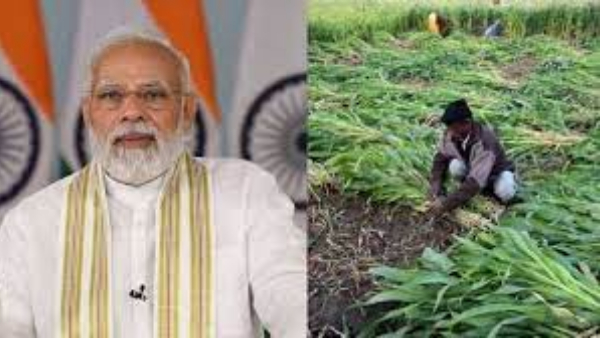 PM Kisan Assistance Rs. 10 has been requested in the ICRIER report