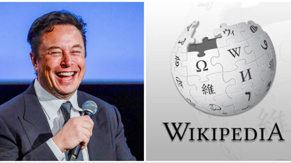 Elon Musk comments viral on wikipedia