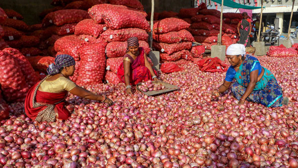 Onion prices started rising in india amid uncertain rains and production shortfalls