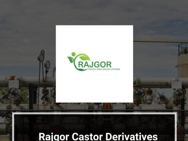 Know details about Rajgor Castor Derivatives Limited IPO coming next week