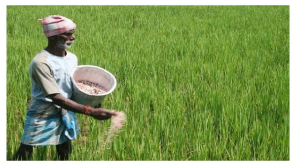 Prime Minister Narendra Modi released the 15th tranche of PM Kisan