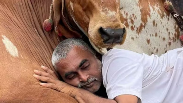 Know success story of Gujarat man ramesh rupareliya earning 8 crores from ghee business