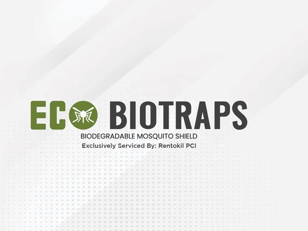 Startup came up with new idea to disrupt mosquitoes birth and population