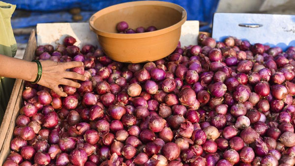 The central government has imposed a ban on onion exports