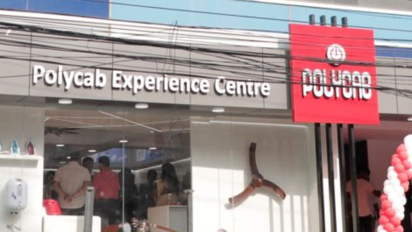 Shares of the company fell after IT raids at Polycab offices