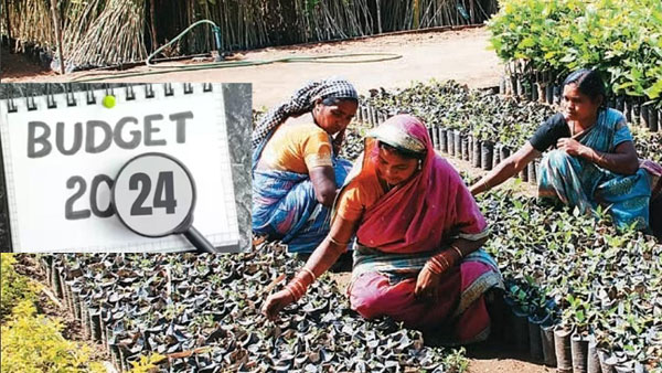 Women entrepreneurs demanding training and employment facilities in budget 2024