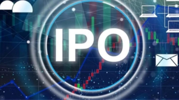 Medi Assist IPO opened on Monday