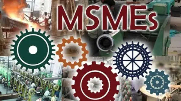 Nirmala sitharaman says modi gov focuses on MSME, financiang businesses and farming 