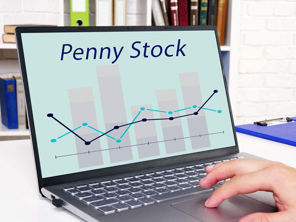 Investors in Market bought shares in Penny stock Standard capital markets Ltd