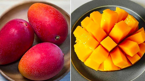 Japans Miyazaki costliest mango sold for 1 9 lakh per kg now cultivating in india