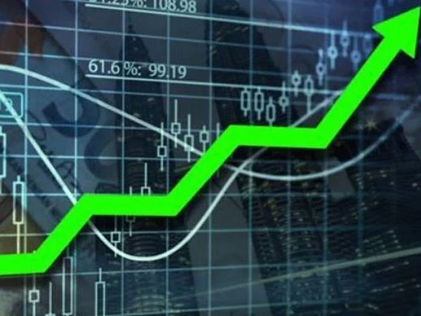 Know wealth multiplied small and midcap stocks in 2024 are you holding any in portfolio