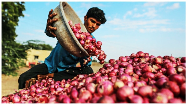 Onion Prices shooting up amid New Government formed at centre know details