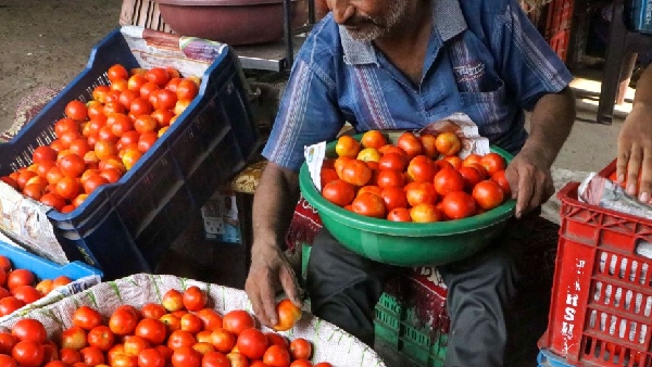 Tomato prices crossed 100 in many states amid low production amid heat waves common man in fear