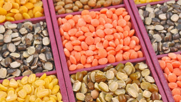 Good news amid good monsoon expectations pulses prices to drop by july end